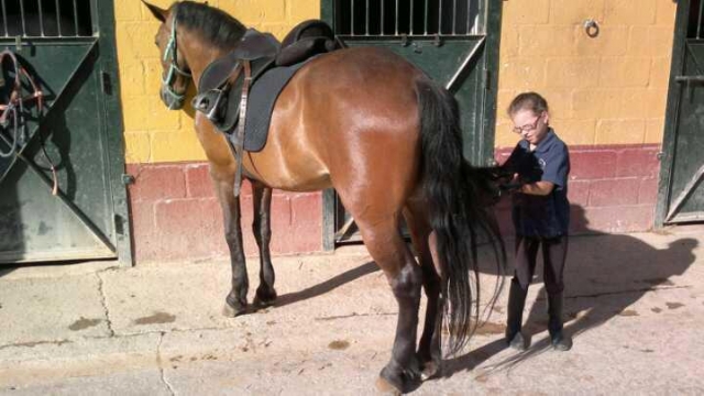 preparando al caballo